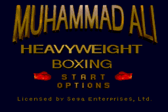 穆罕默德阿里拳击(美)